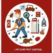 Life Care Pest Control- Jogeshwari Mumbai